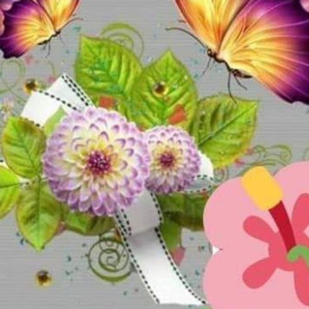 Meet your Posher, Paty